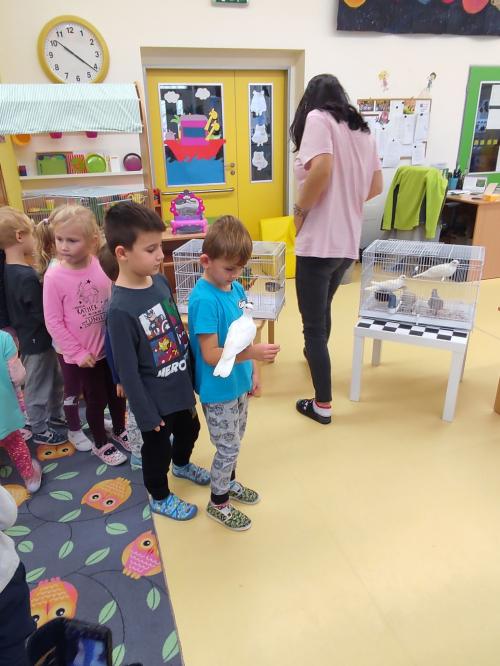 Ekologicko-chovatelský program